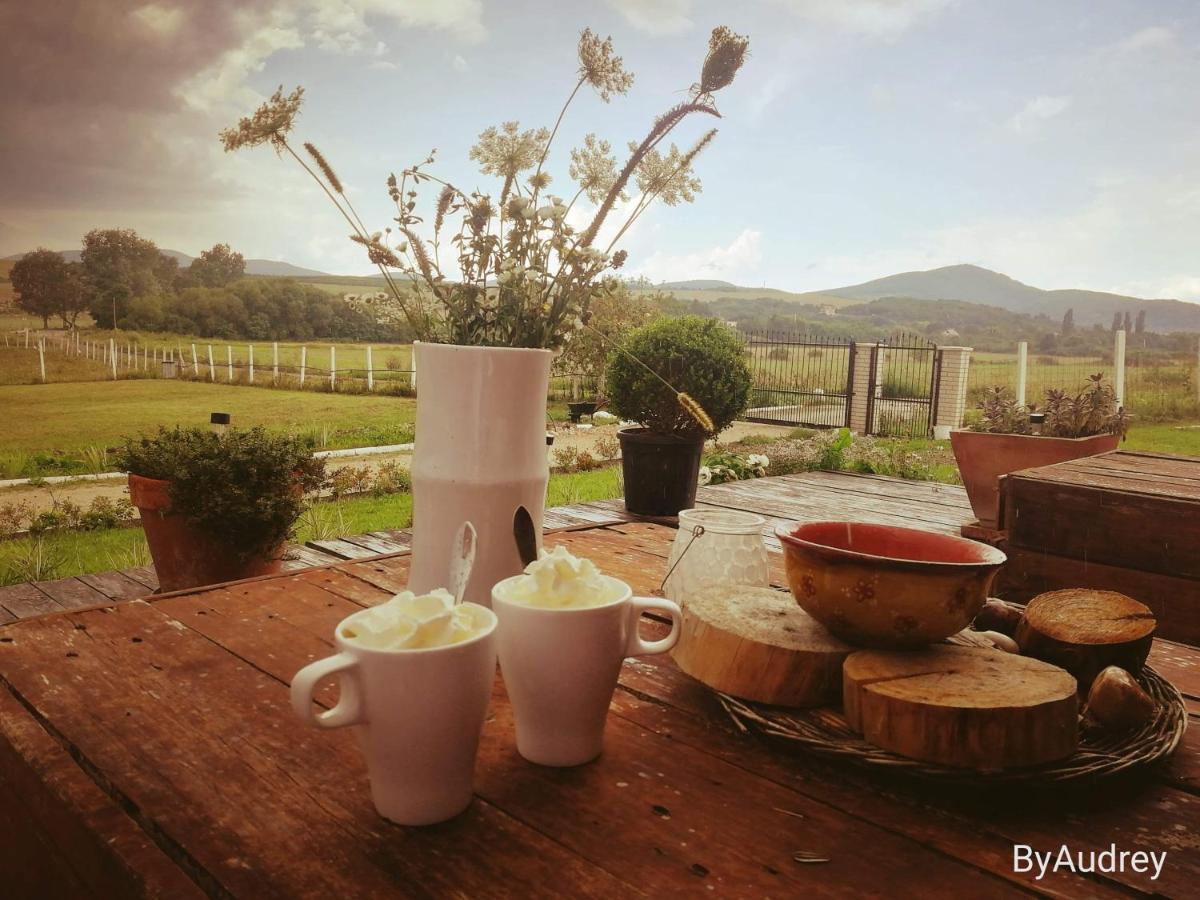 Dosa Tanya, Vendeghaz Otel Cserepfalu Dış mekan fotoğraf